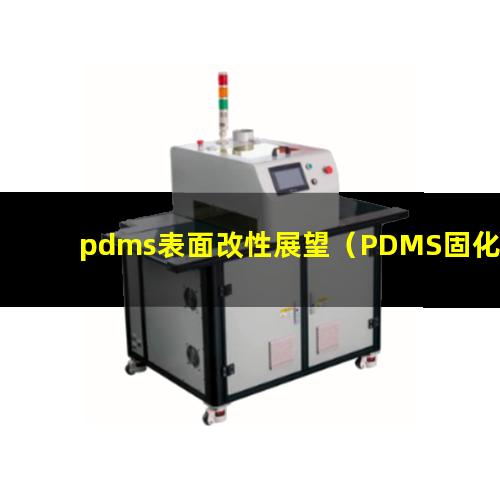 pdms表面改性展望