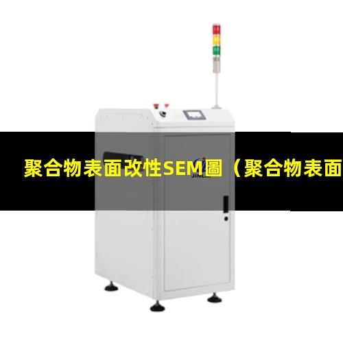 聚合物表面改性SEM圖