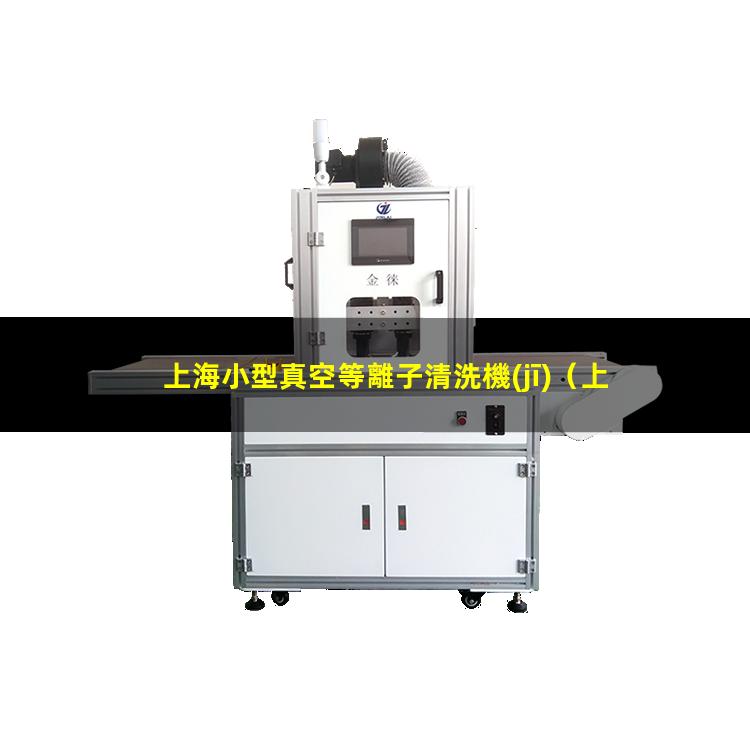 上海小型真空等離子清洗機(jī)