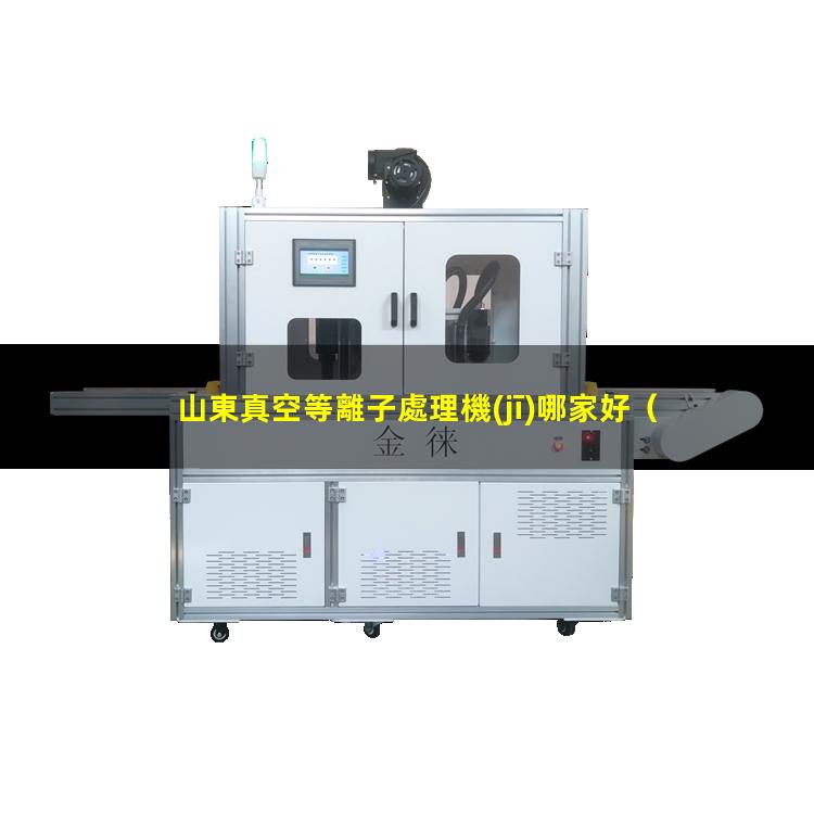 山東真空等離子處理機(jī)哪家好