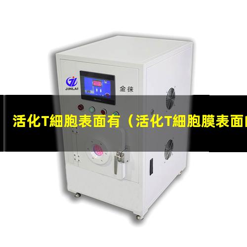 活化T細胞表面有