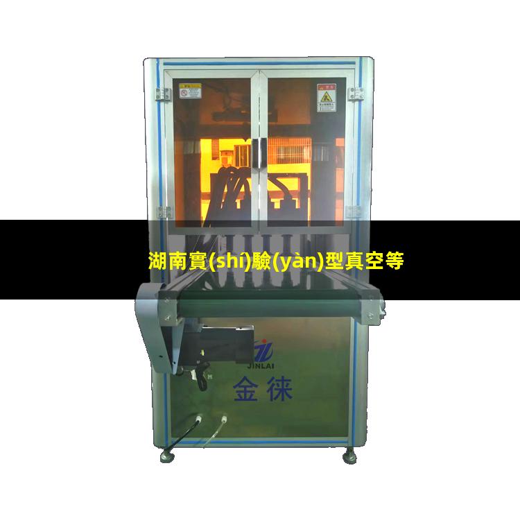 湖南實(shí)驗(yàn)型真空等離子設(shè)備價(jià)格